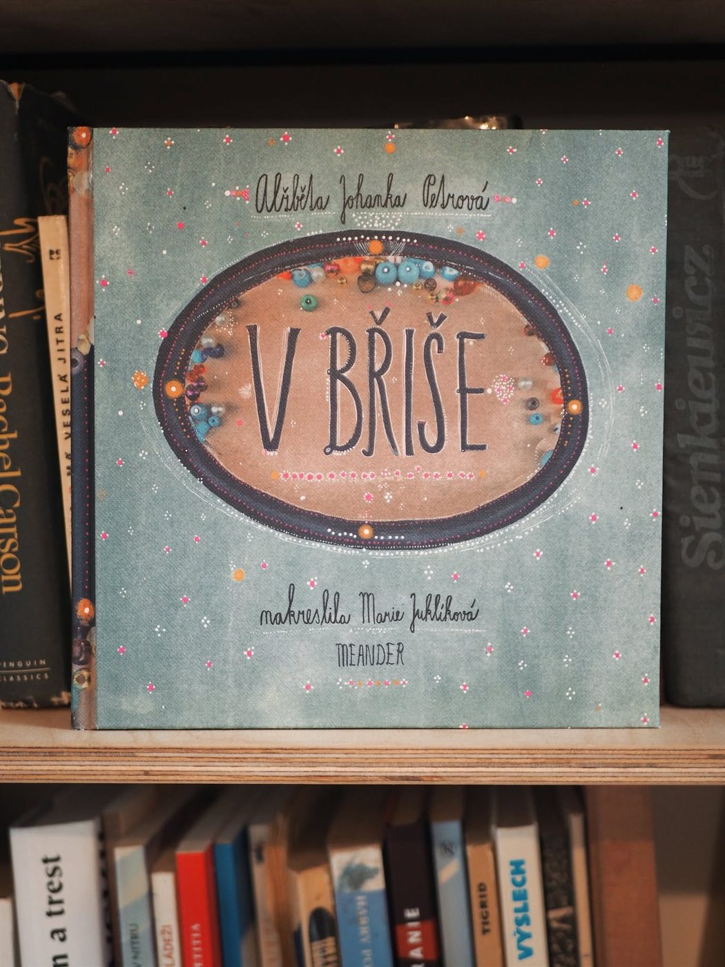 Obálka knihy V břiše